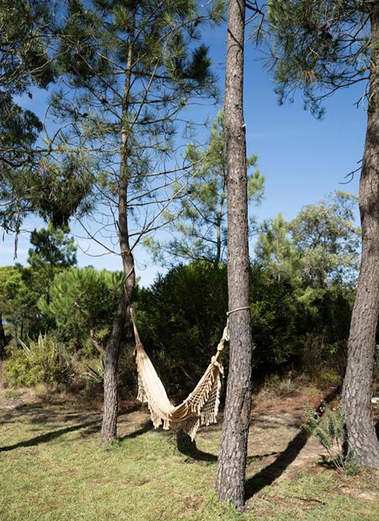 Sustentabilidade na Quinta