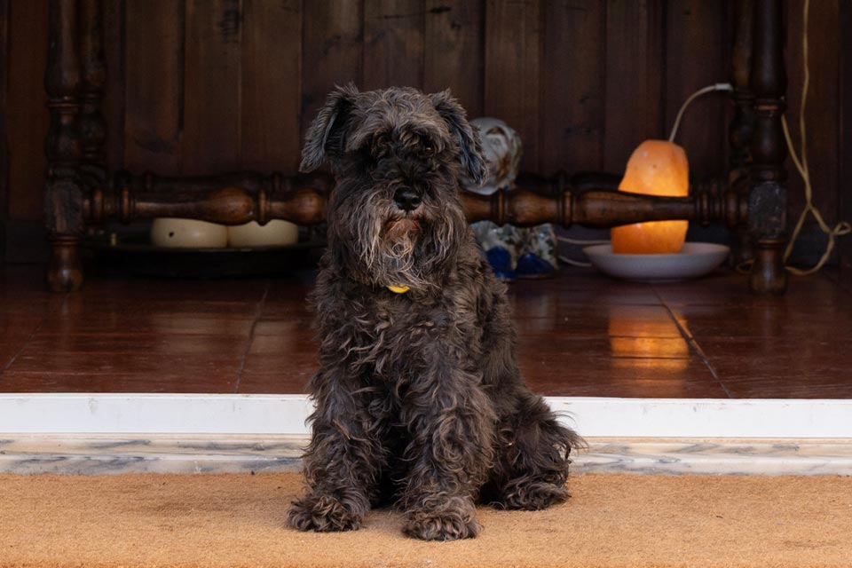 Sustentabilidade na Quinta