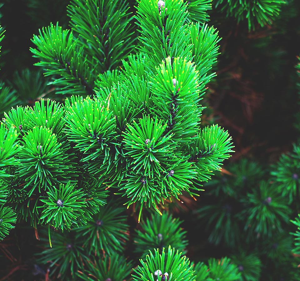 Sustentabilidade na Quinta